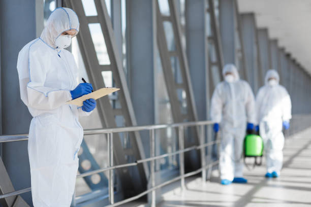 Best Basement Mold Removal  in Viera East, FL
