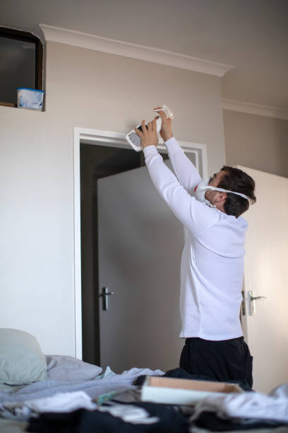 Best Asbestos and Lead Testing During Mold Inspection  in Viera East, FL
