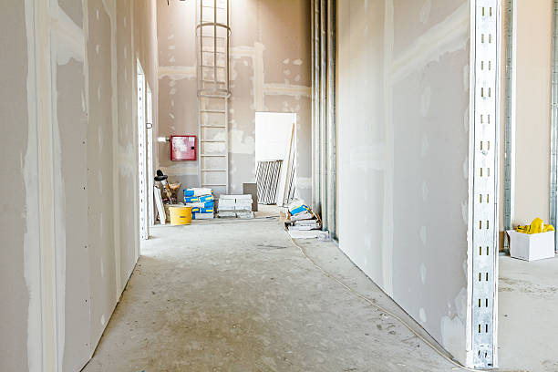 Best Residential Mold Inspection & Testing  in Viera East, FL