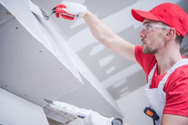 Trusted Viera East, FL Mold Removal Experts
